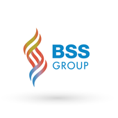 Logo Công ty BSS Group
