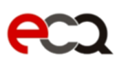 Logo Công ty E-CQURITY Việt Nam