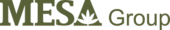 Logo Công ty Mesa Group