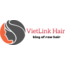 Logo Công ty VietLink Hair